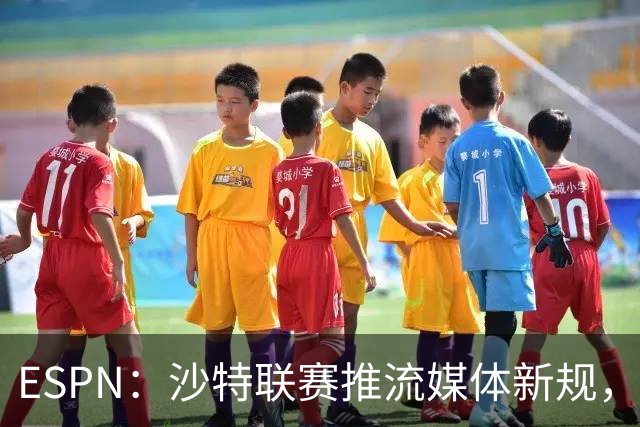 ESPN：沙特联赛推流媒体新规，C罗或凭10亿粉丝获巨额分成